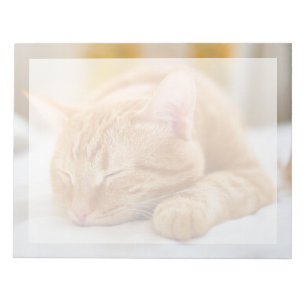 Cutest Baby Animals   Sleeping Ginger Cat Notepad