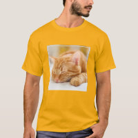 Cutest Baby Animals | Sleeping Ginger Cat
