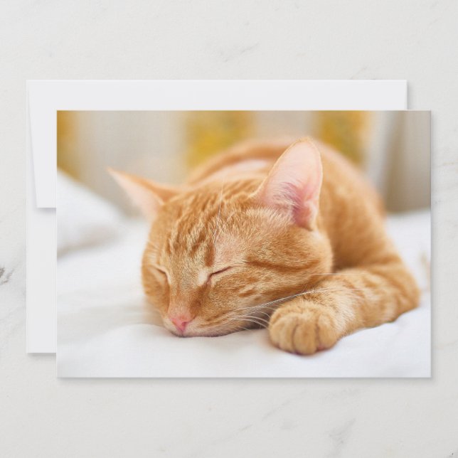 Cutest Baby Animals | Sleeping Ginger Cat Thank You Card (Front)