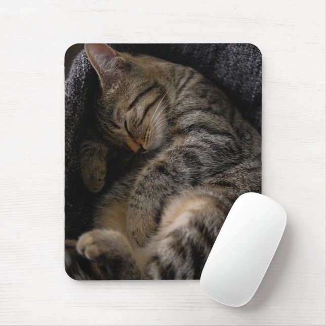 Cutest Baby Animals | Sleeping Tabby Cat Mouse Mat (With Mouse)