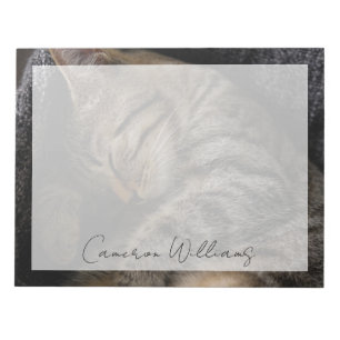 Cutest Baby Animals   Sleeping Tabby Cat Notepad