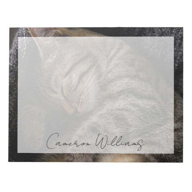 Cutest Baby Animals | Sleeping Tabby Cat Notepad (Front)