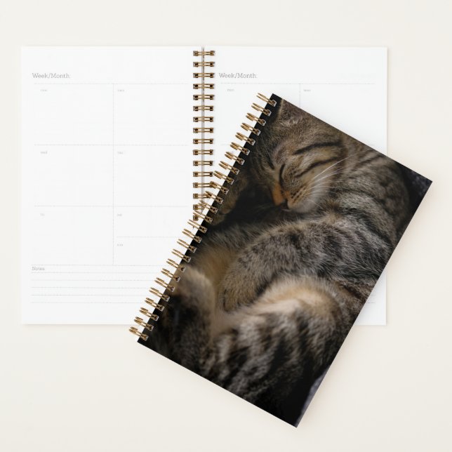 Cutest Baby Animals | Sleeping Tabby Cat Planner (Display)