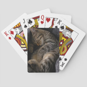 Cutest Baby Animals Sleeping Tabby Cat Playing Cards