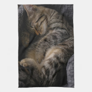 Cutest Baby Animals   Sleeping Tabby Cat Tea Towel