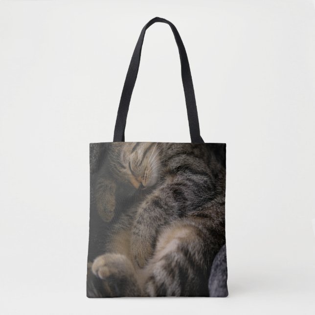 Cutest Baby Animals | Sleeping Tabby Cat Tote Bag (Front)