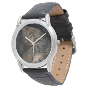 Cutest Baby Animals   Sleeping Tabby Cat Watch