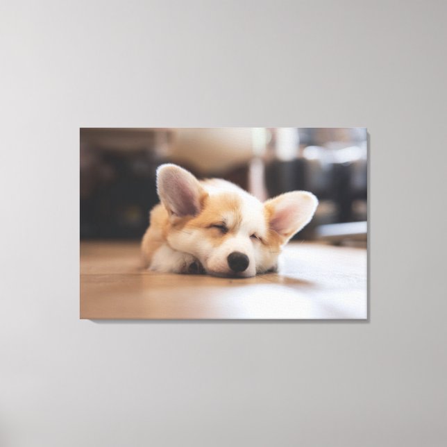 Cutest Baby Animals | Sleepy Corgi Canvas Print (Front)