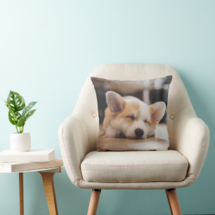 Cutest Baby Animals Sleepy Corgi Cushion