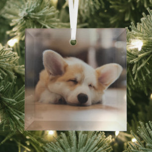 Cutest Baby Animals Sleepy Corgi Glass Tree Decoration