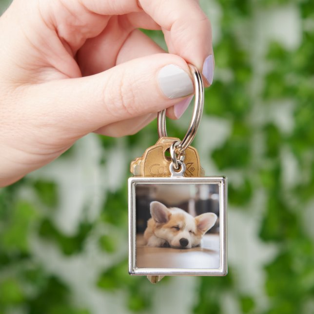 Cutest Baby Animals | Sleepy Corgi Key Ring (Hand)
