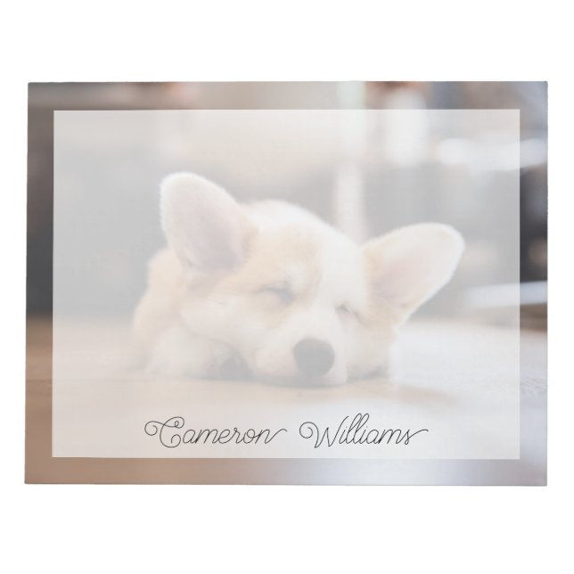 Cutest Baby Animals | Sleepy Corgi Notepad (Front)