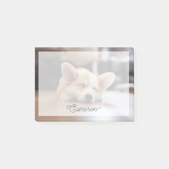 Cutest Baby Animals | Sleepy Corgi Post-it Notes (Front)