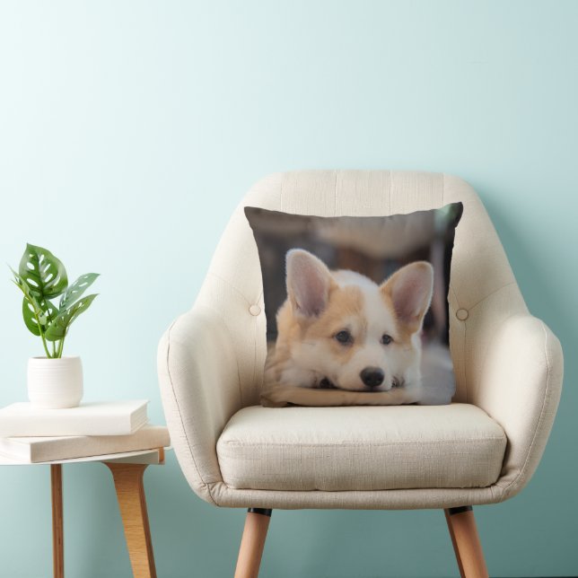 Cutest Baby Animals | Sleepy Corgi Puppy Cushion (Chair)