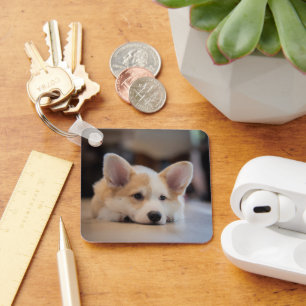 Cutest Baby Animals Sleepy Corgi Puppy Key Ring
