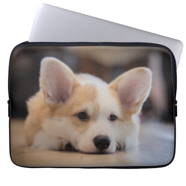 Cutest Baby Animals | Sleepy Corgi Puppy Laptop Sleeve (Front)