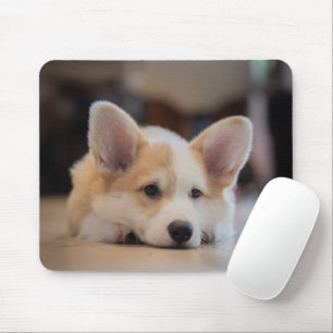 Cutest Baby Animals Sleepy Corgi Puppy Mouse Mat