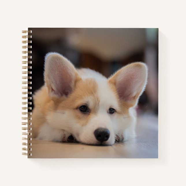 Cutest Baby Animals | Sleepy Corgi Puppy Notebook (Front)
