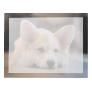Cutest Baby Animals   Sleepy Corgi Puppy Notepad