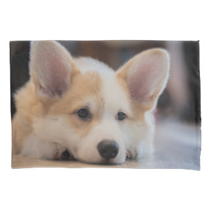 Cutest Baby Animals   Sleepy Corgi Puppy Pillowcase