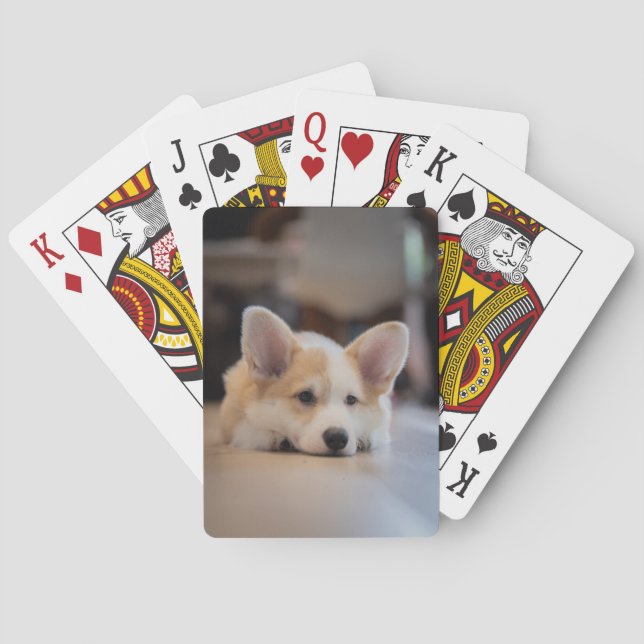Cutest Baby Animals | Sleepy Corgi Puppy Playing Cards (Back)