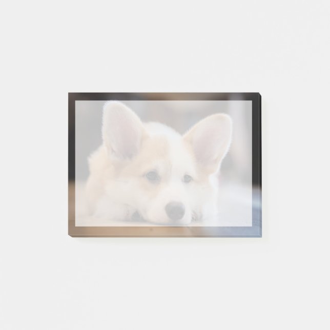 Cutest Baby Animals | Sleepy Corgi Puppy Post-it Notes (Front)