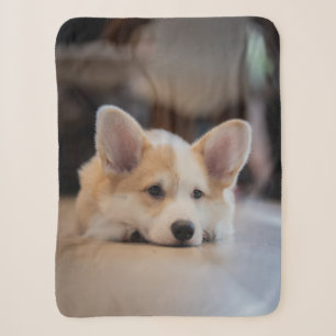 Cutest Baby Animals Sleepy Corgi Puppy Sherpa Blanket