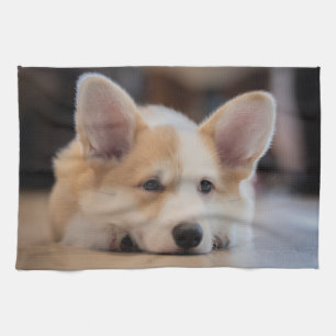 Cutest Baby Animals Sleepy Corgi Puppy Tea Towel