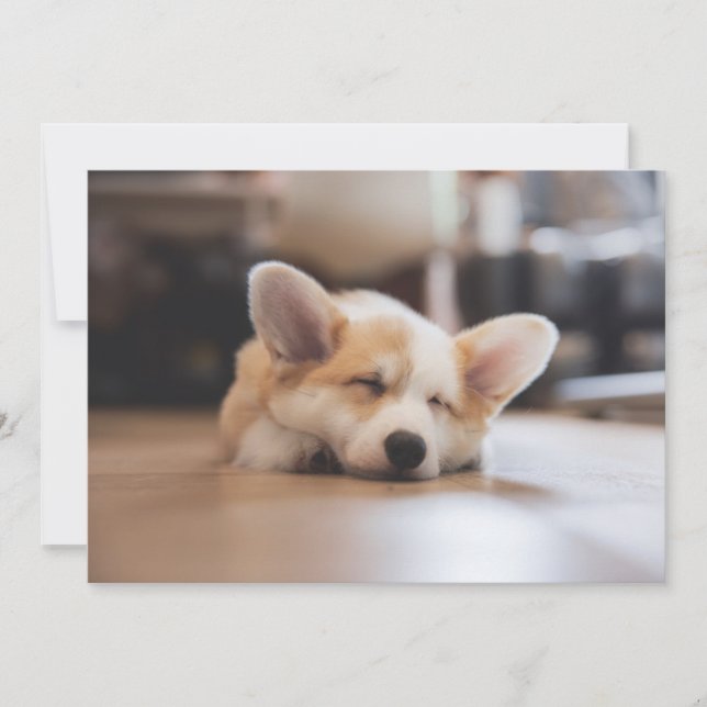 Cutest Baby Animals | Sleepy Corgi Thank You Card (Front)