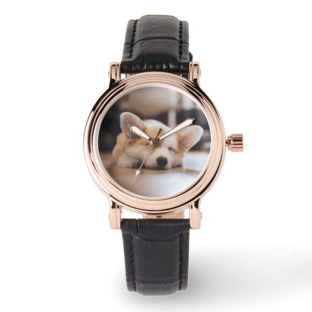 Cutest Baby Animals | Sleepy Corgi Watch (Front)
