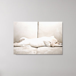 Cutest Baby Animals   Sleepy Yellow Labrador Puppy Canvas Print