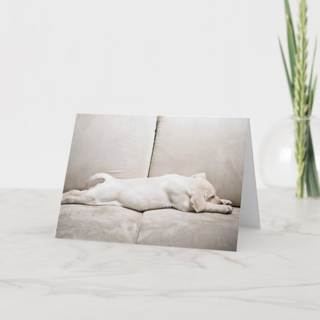 Cutest Baby Animals | Sleepy Yellow Labrador Puppy Card (Front)
