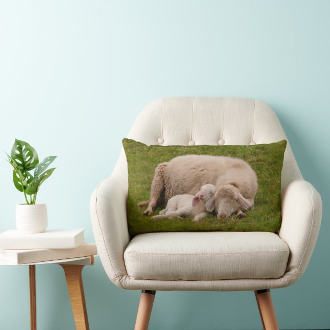 Cutest Baby Animals | Smiling Sleeping Lamb Lumbar Cushion (Chair)