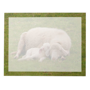 Cutest Baby Animals Smiling Sleeping Lamb Notepad