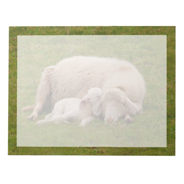 Cutest Baby Animals | Smiling Sleeping Lamb Notepad (Front)