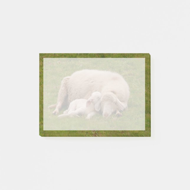 Cutest Baby Animals | Smiling Sleeping Lamb Post-it Notes (Front)