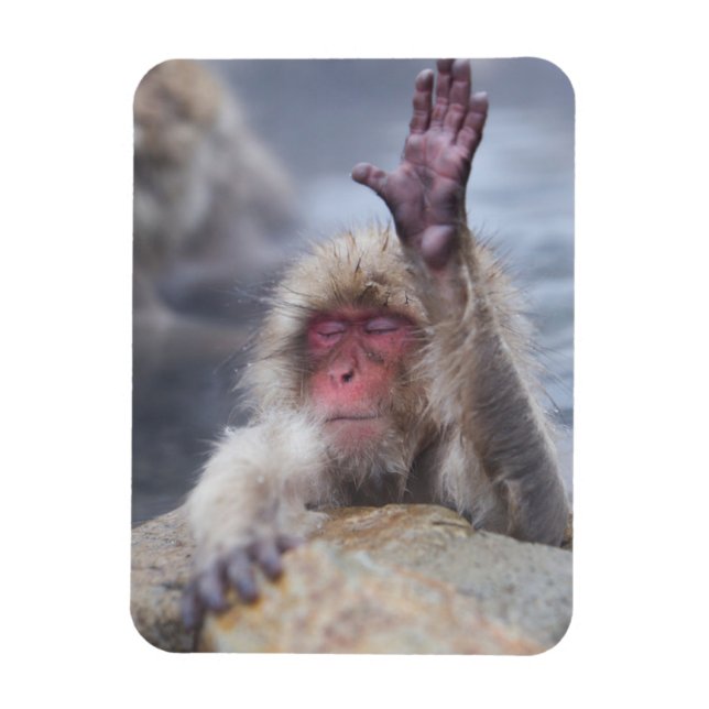 Cutest Baby Animals | Snow Monkey Face Magnet (Vertical)
