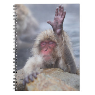 Cutest Baby Animals Snow Monkey Face Notebook