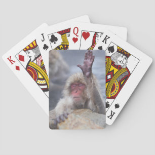 Cutest Baby Animals Snow Monkey Face Playing Cards