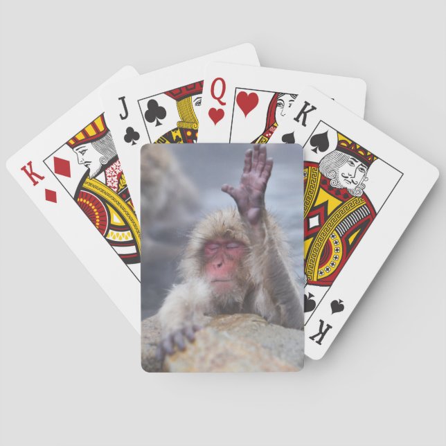 Cutest Baby Animals | Snow Monkey Face Playing Cards (Back)