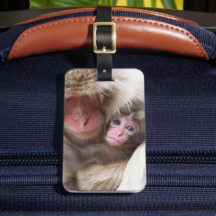 Cutest Baby Animals   Snow Monkey Luggage Tag