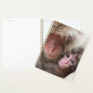 Cutest Baby Animals   Snow Monkey Planner