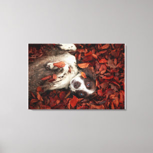 Cutest Baby Animals Spaniel in Autumn Leaves Canvas Print