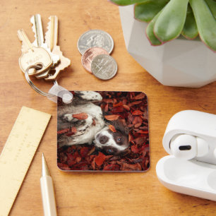 Cutest Baby Animals Spaniel in Autumn Leaves Key Ring