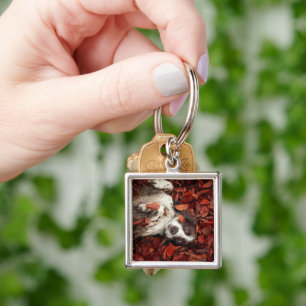 Cutest Baby Animals Spaniel in Autumn Leaves Key Ring