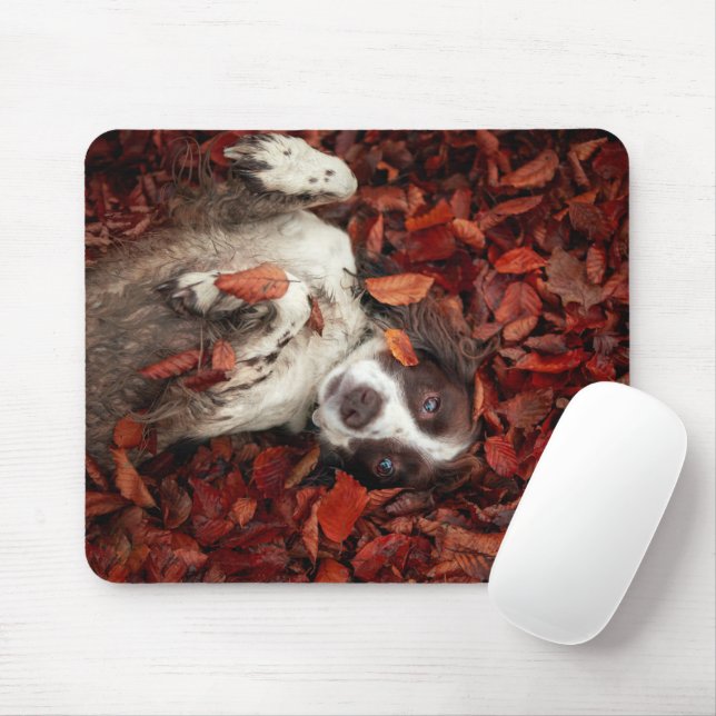 Cutest Baby Animals | Spaniel in Autumn Leaves Mouse Mat (With Mouse)