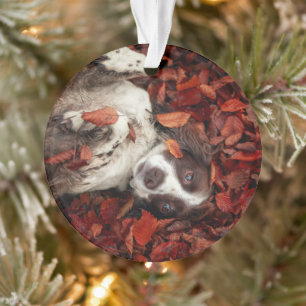 Cutest Baby Animals   Spaniel in Autumn Leaves Ornament