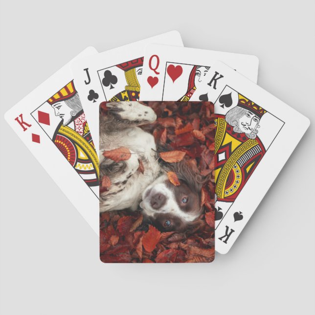 Cutest Baby Animals | Spaniel in Autumn Leaves Playing Cards (Back)