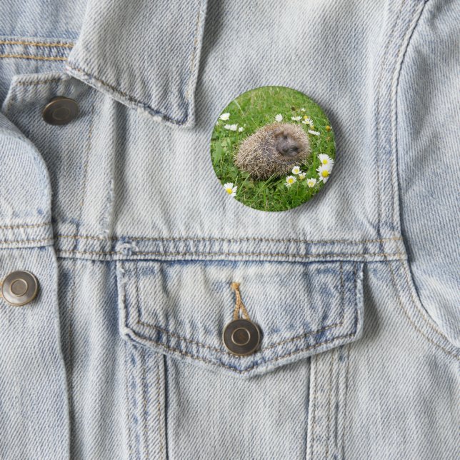 Cutest Baby Animals | Spanish Hedgehog 6 Cm Round Badge (In Situ)