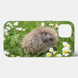 Cutest Baby Animals   Spanish Hedgehog iPhone 13 Case